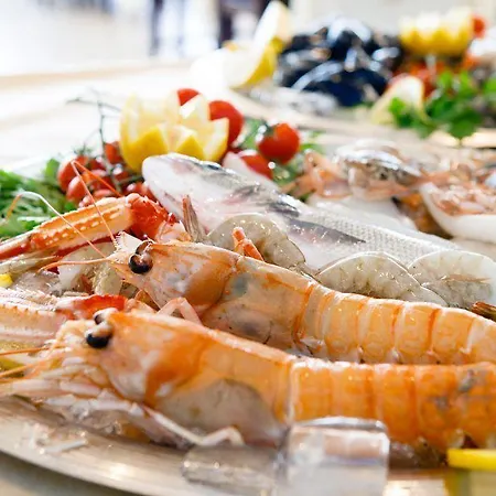 Hotel Royal Cattolica
